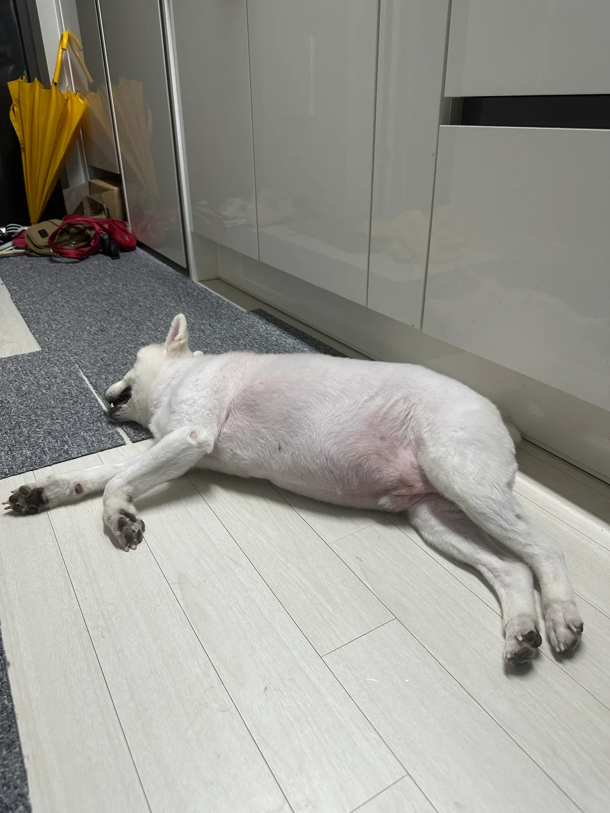 이미지 9