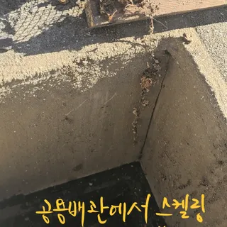 신창.음식점주방 화장실.공용배관까지 막힘역류로 방문