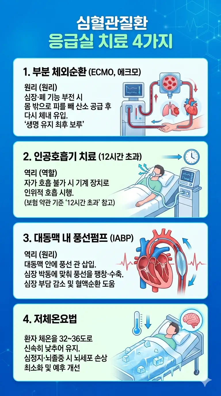 이미지 6