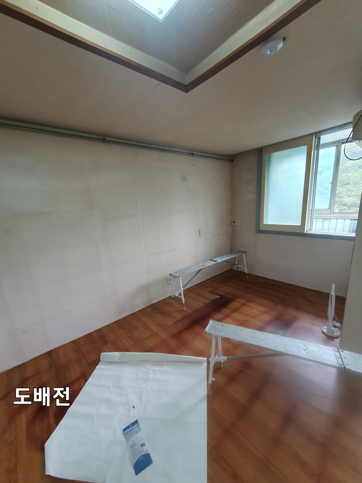 이미지 5