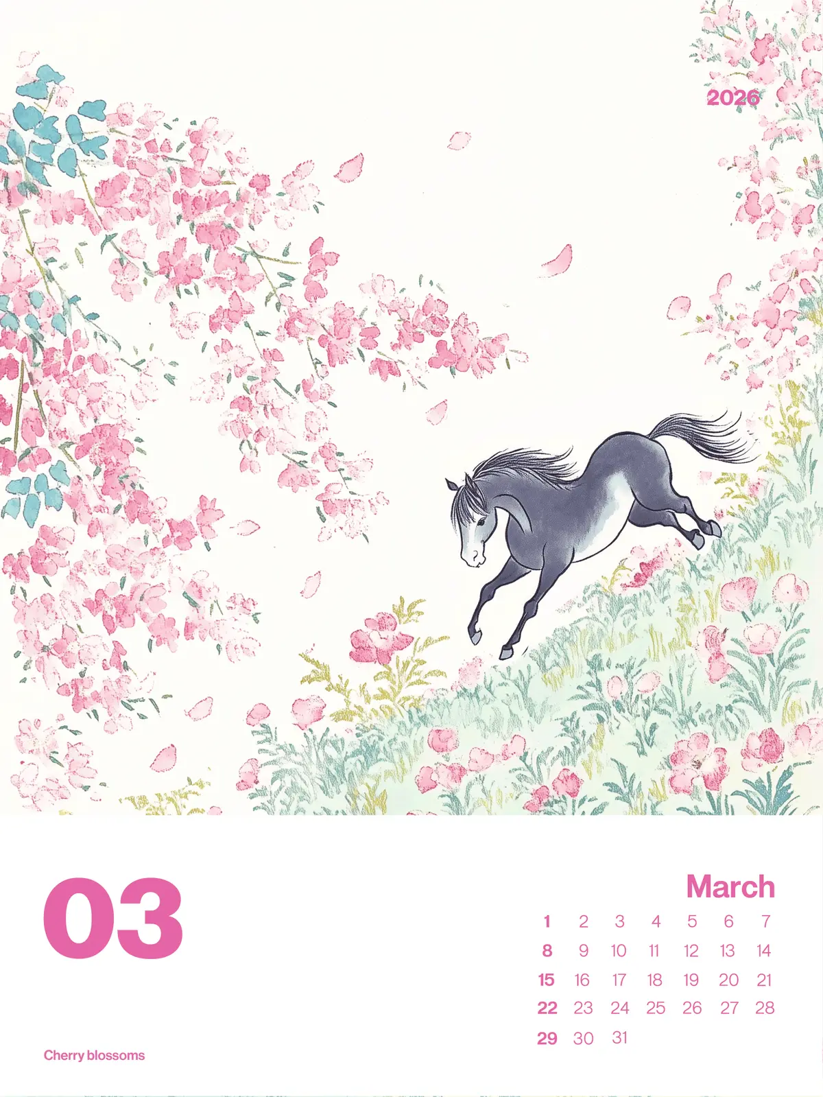 이미지 4