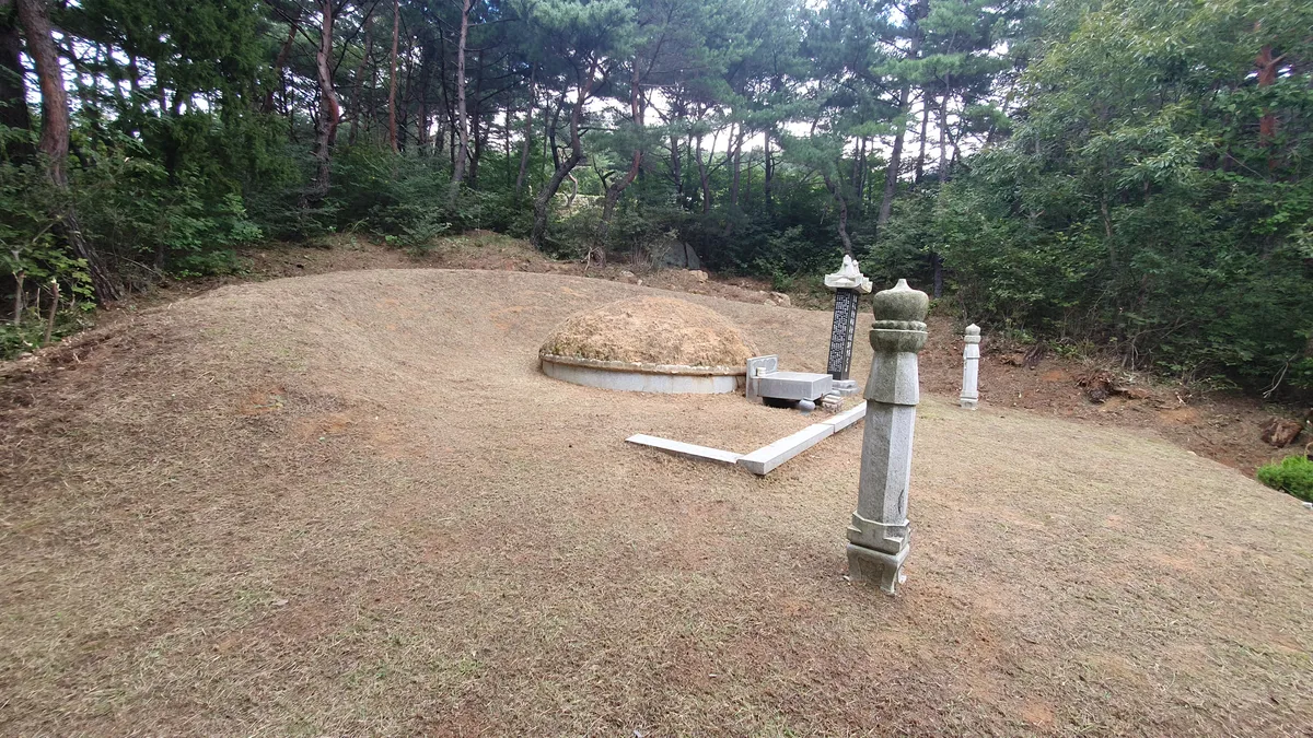 이미지 5