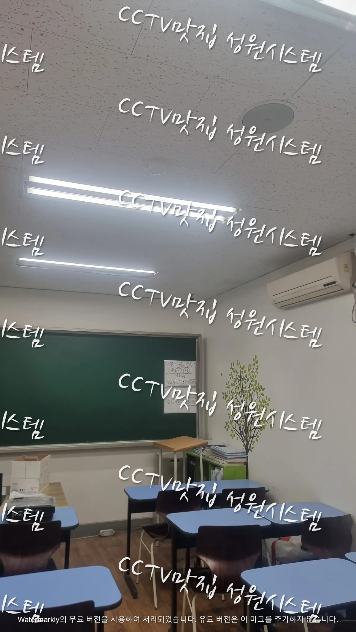 이미지 8