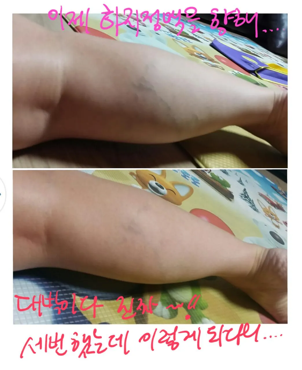 이미지 8