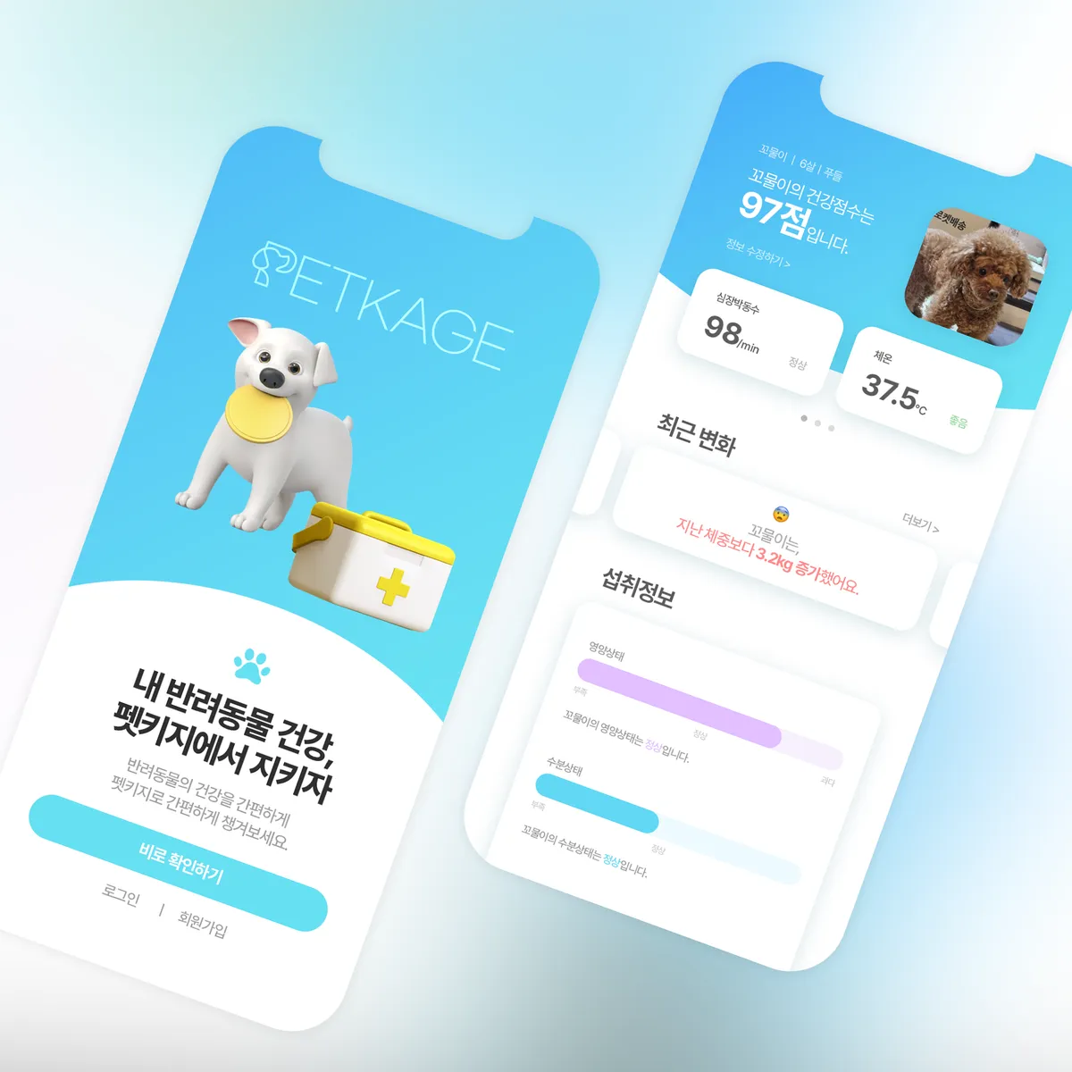 포트폴리오 이미지