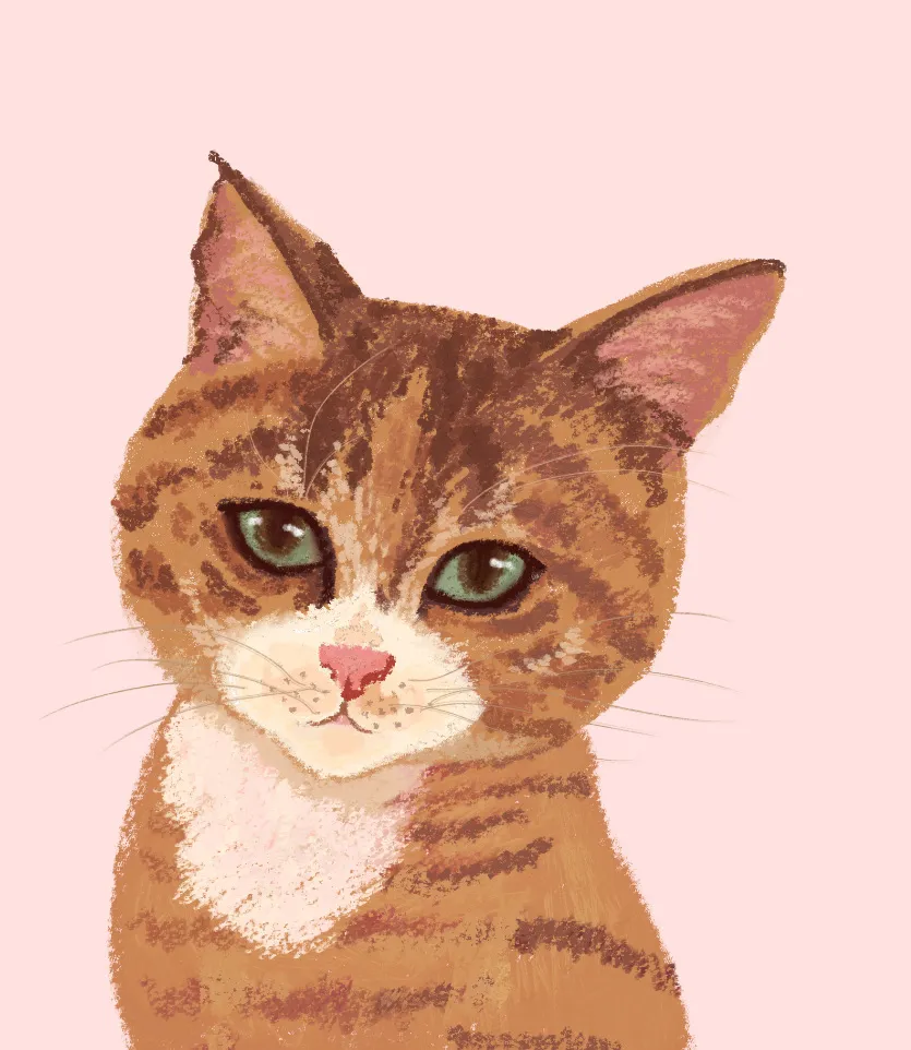 이미지 4