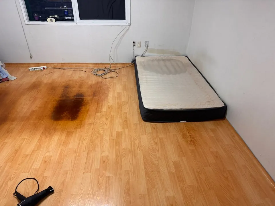 이미지 11