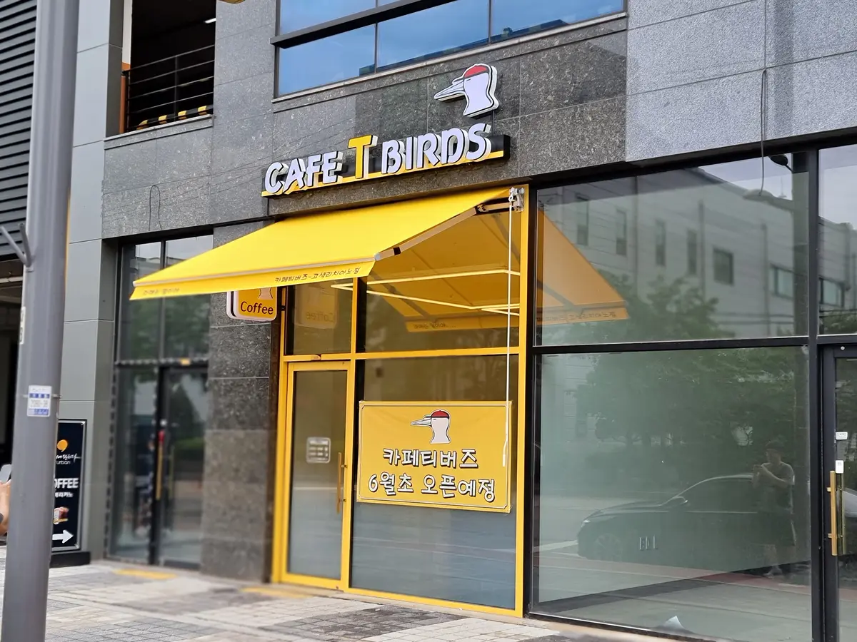 이미지 8