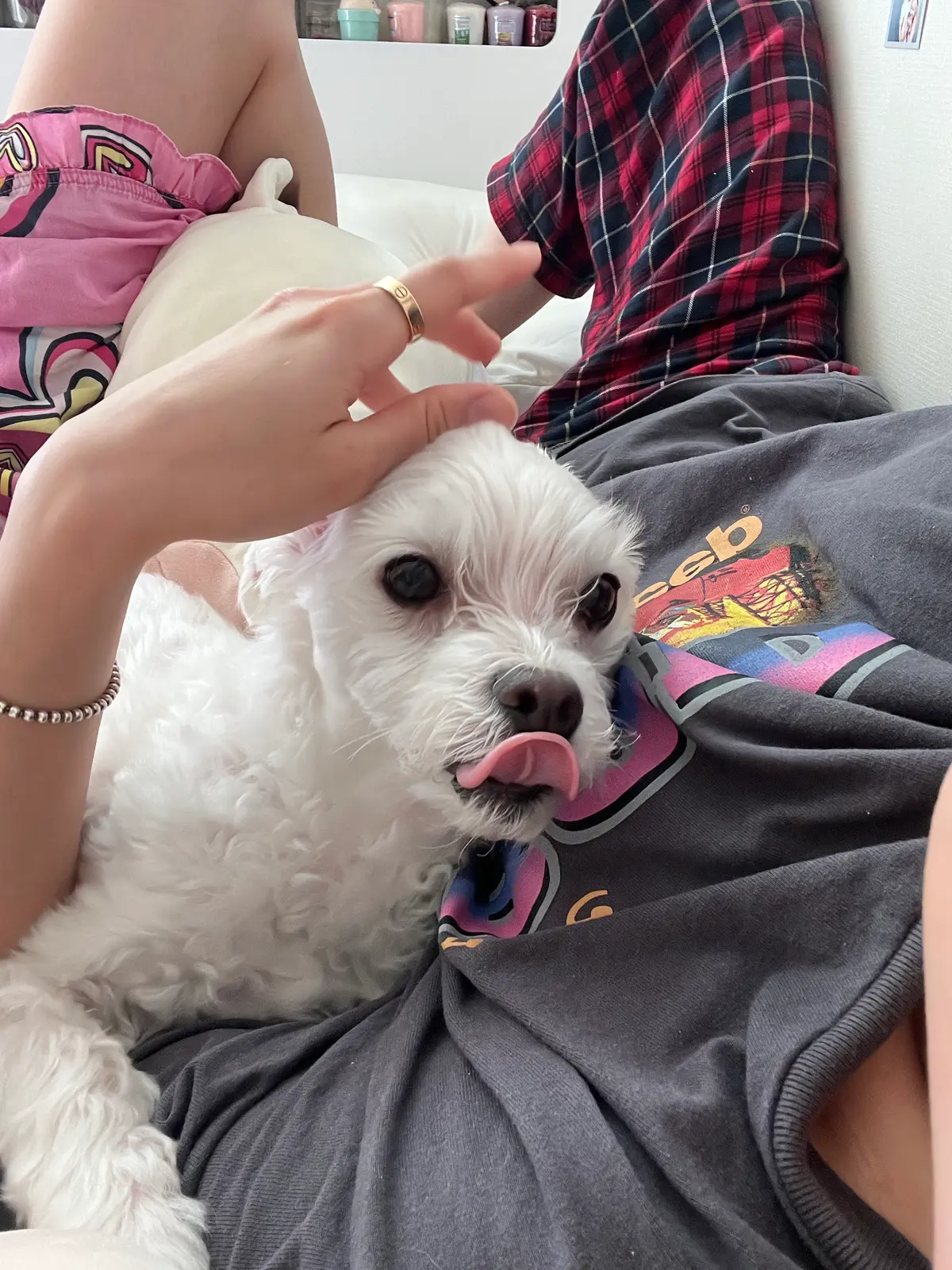 이미지 5