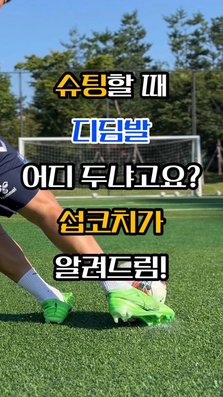 이미지 6
