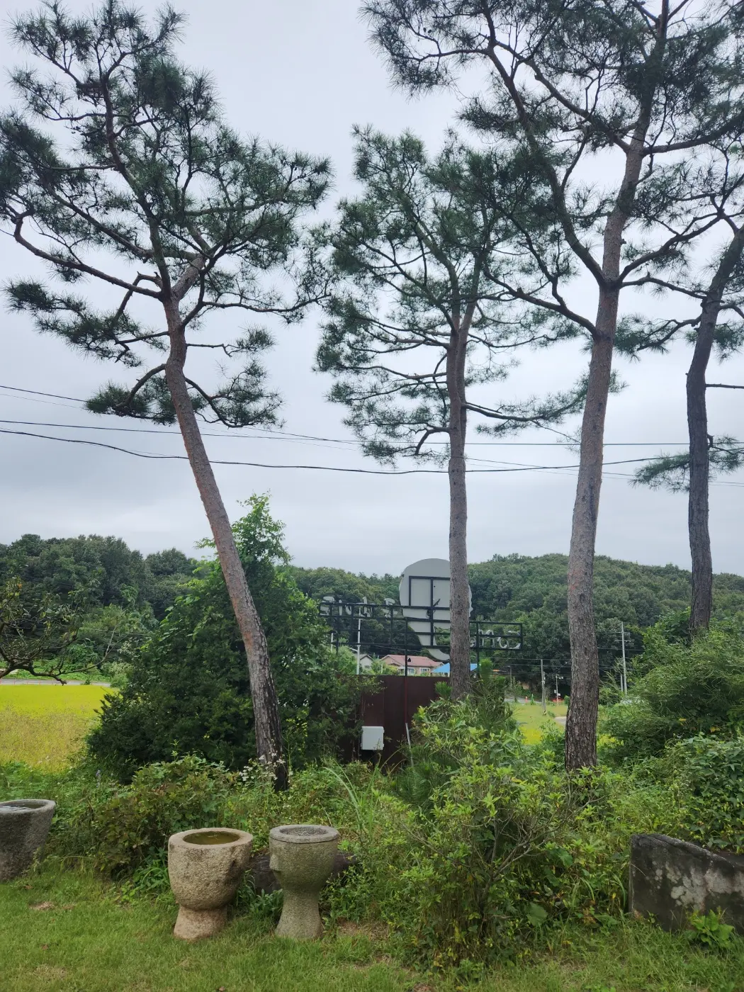 이미지 8