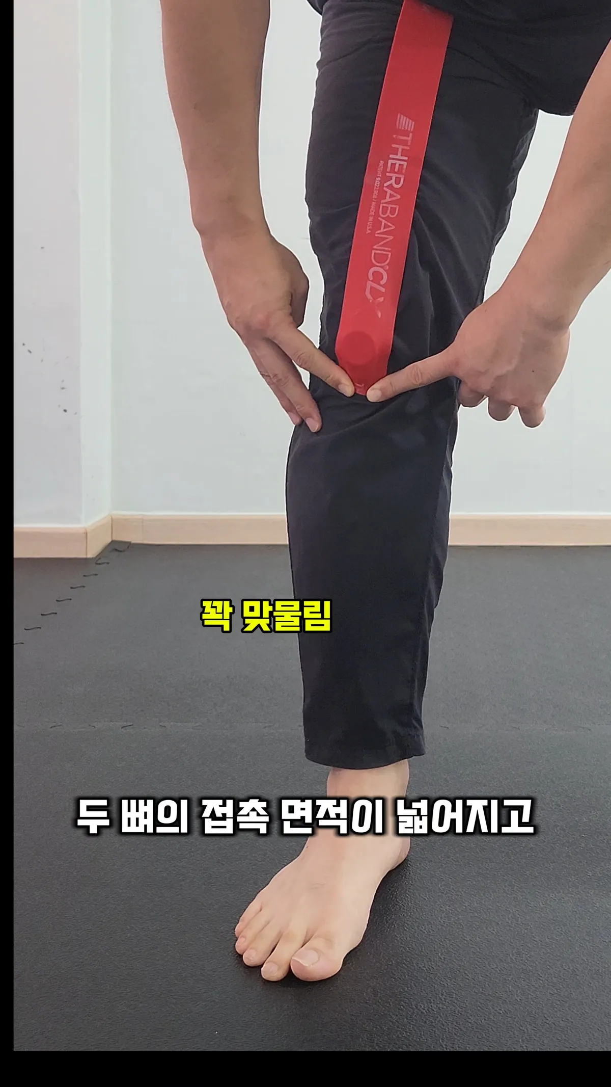 이미지 12