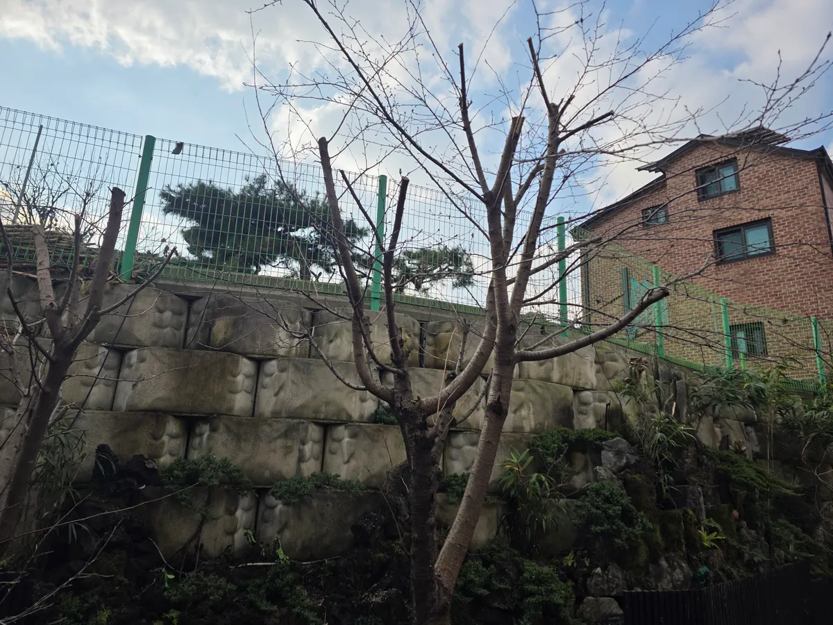이미지 20