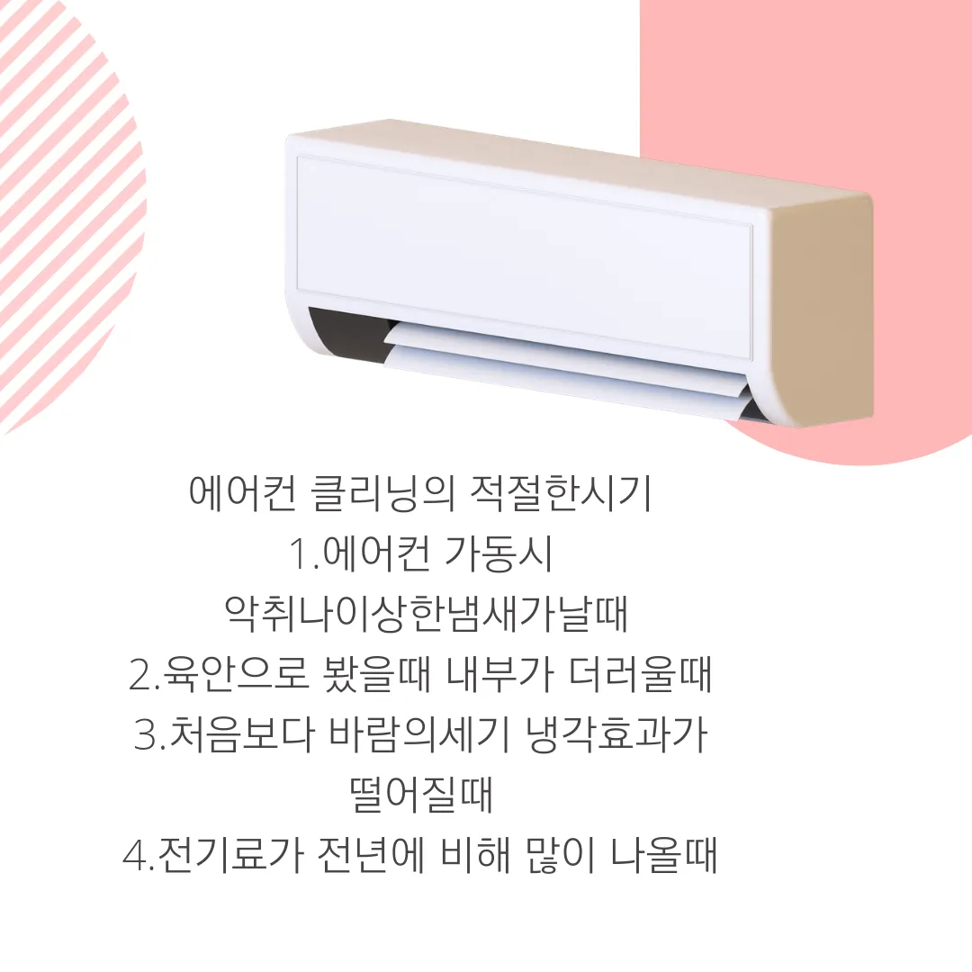 이미지 5