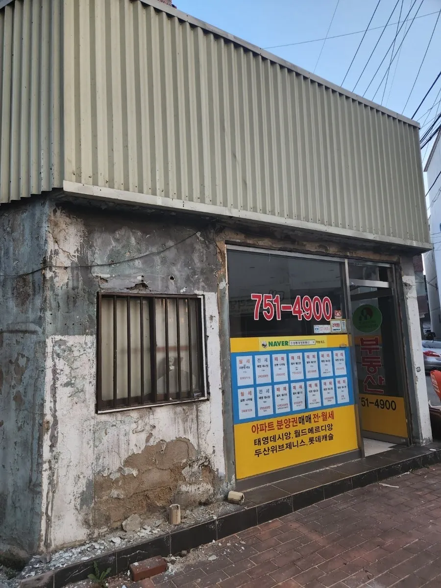 이미지 16