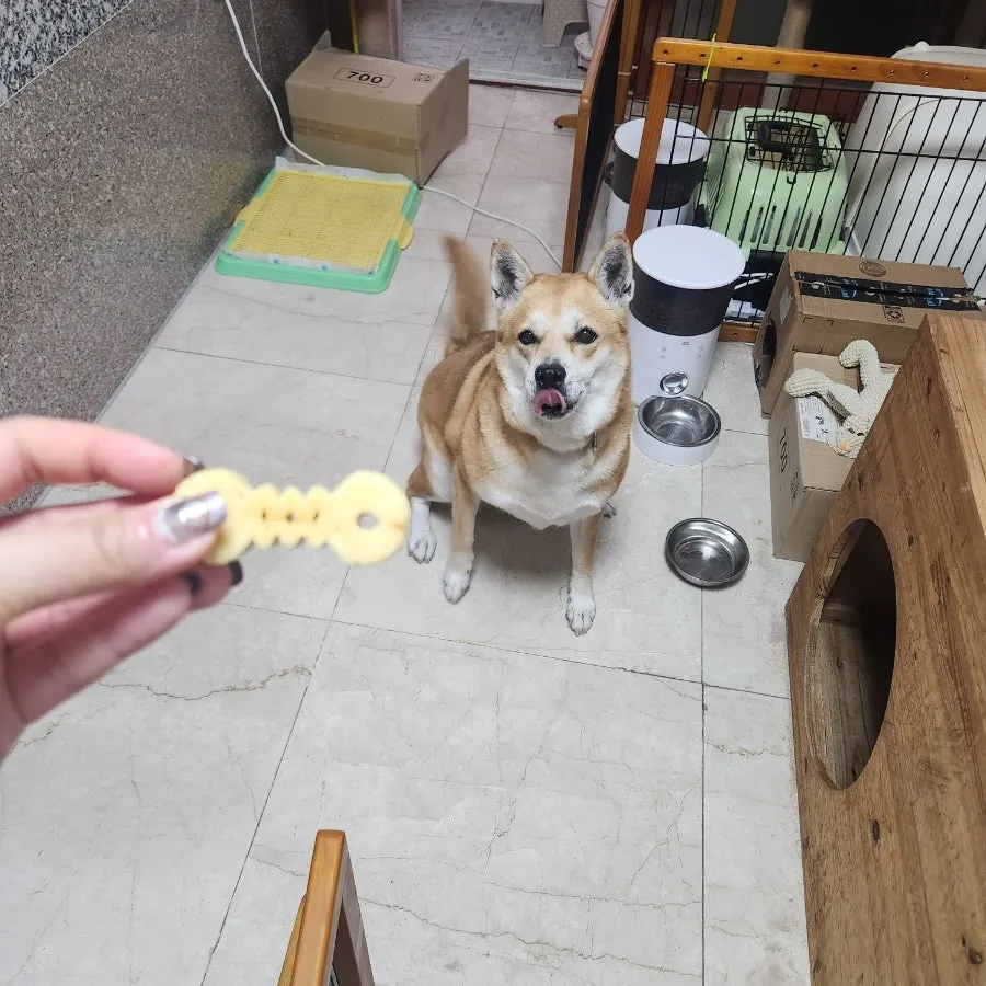 이미지 9