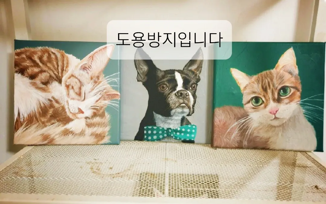 이미지 8