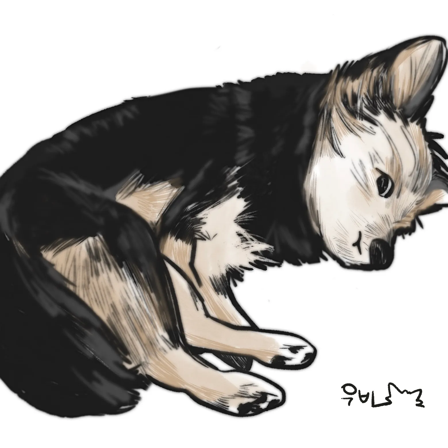 이미지 14
