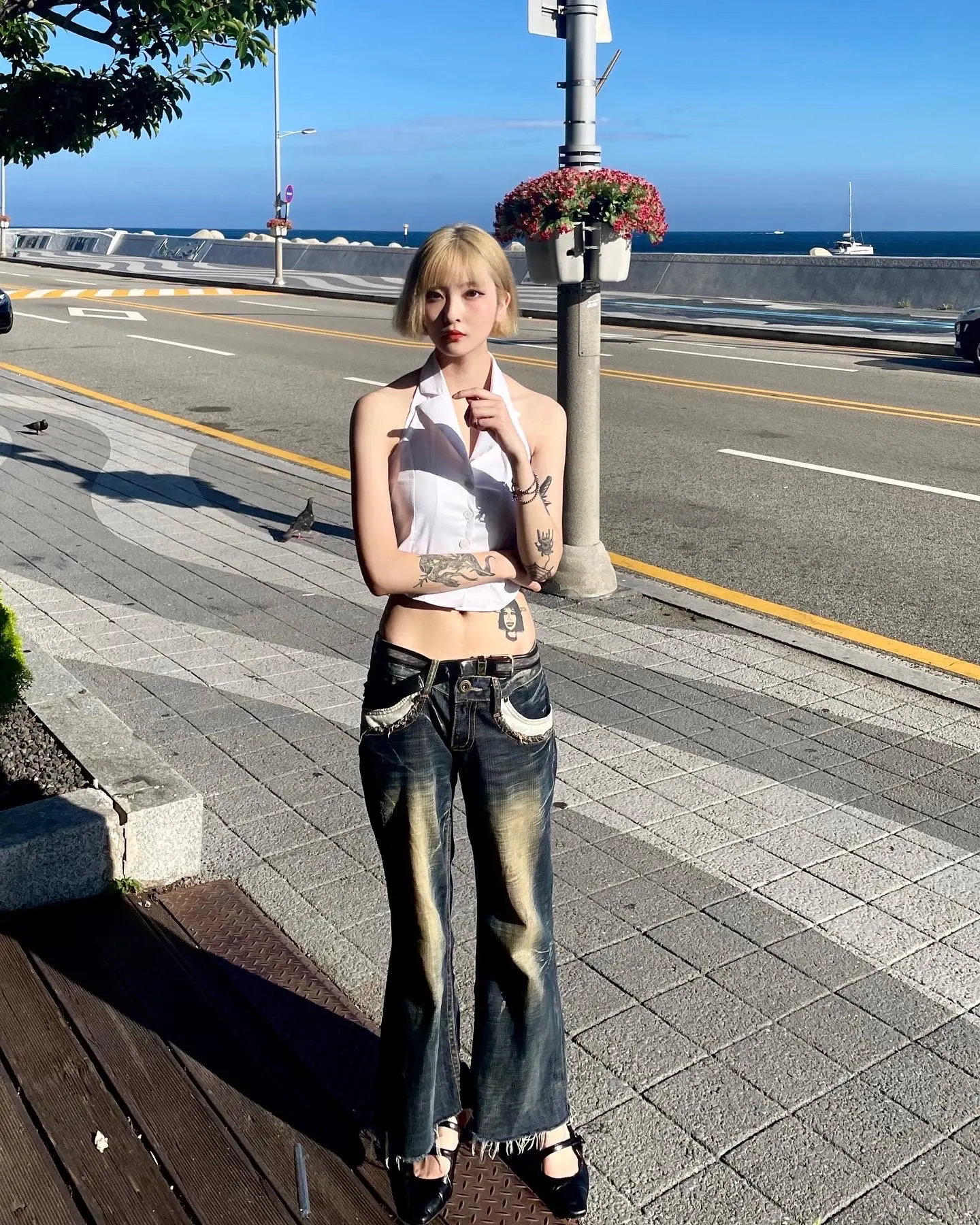이미지 12