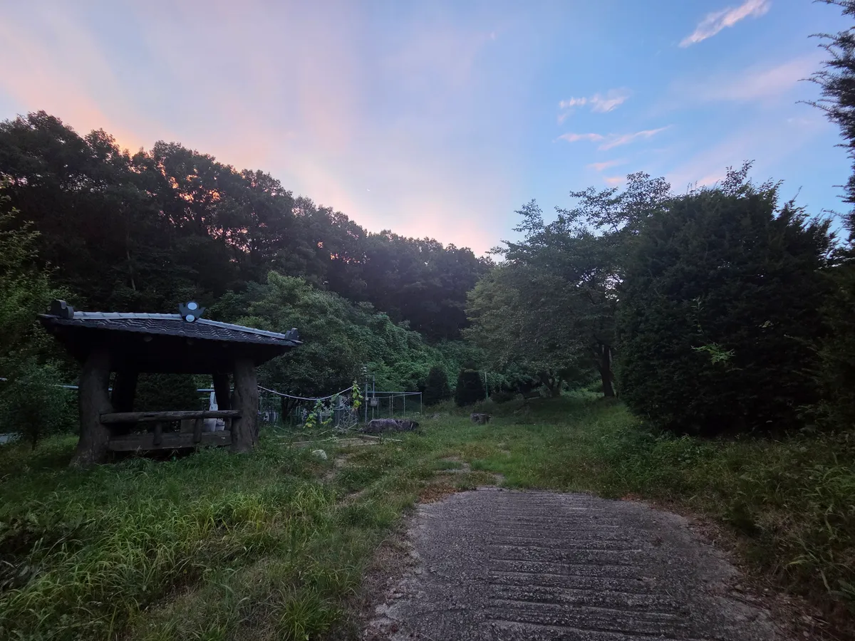 이미지 7