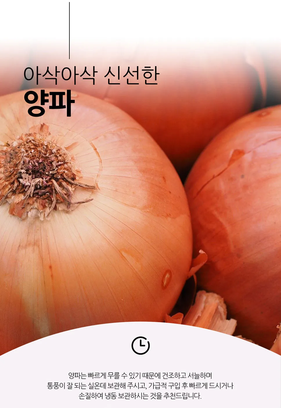 이미지 8