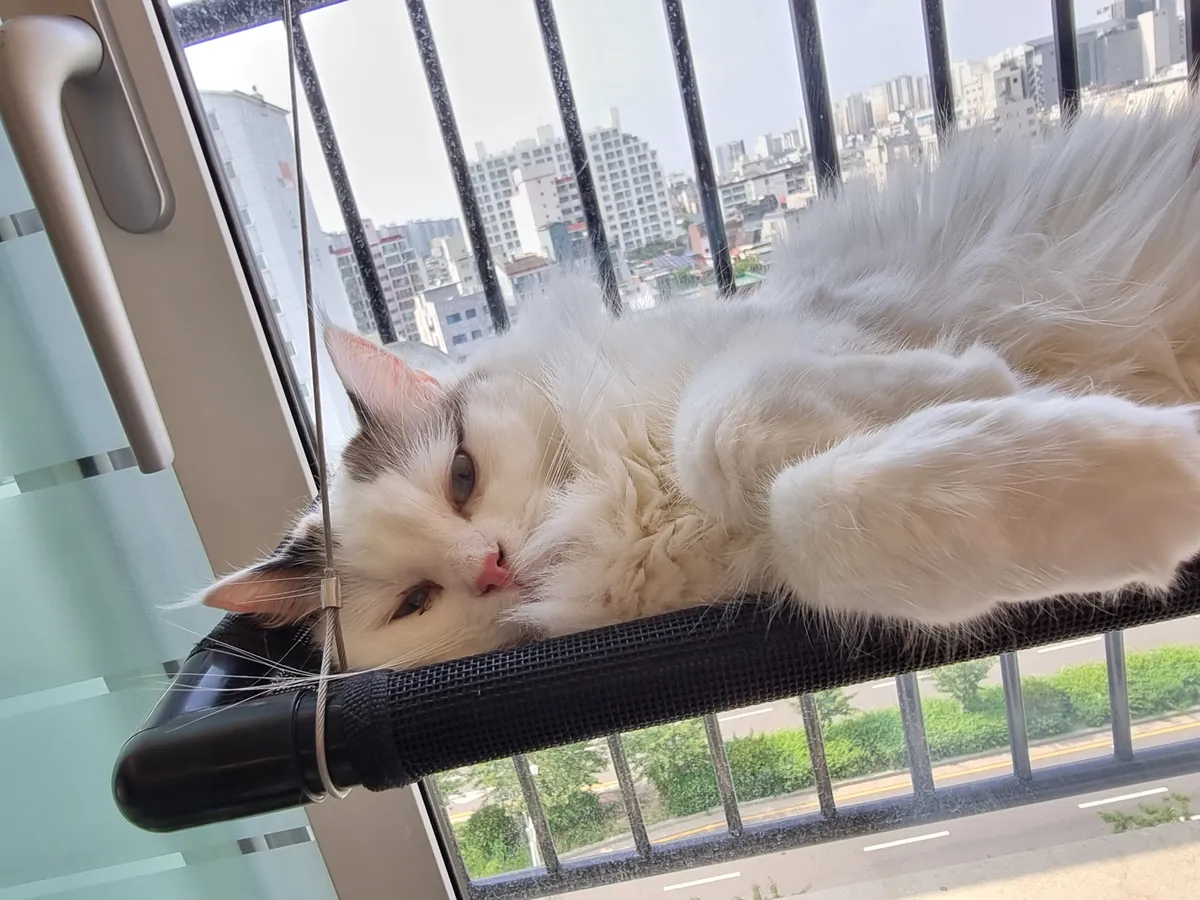 이미지 5