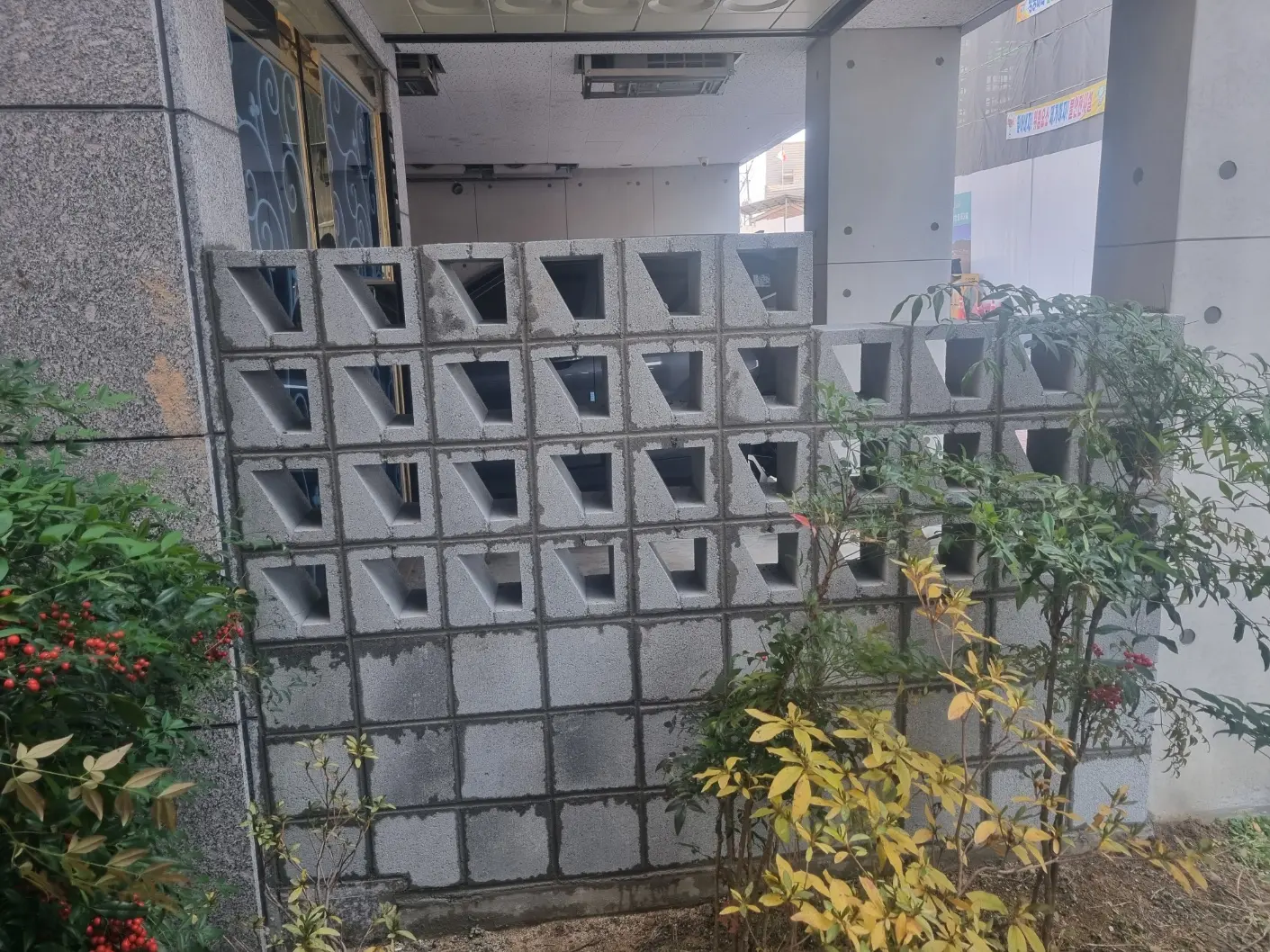 이미지 9
