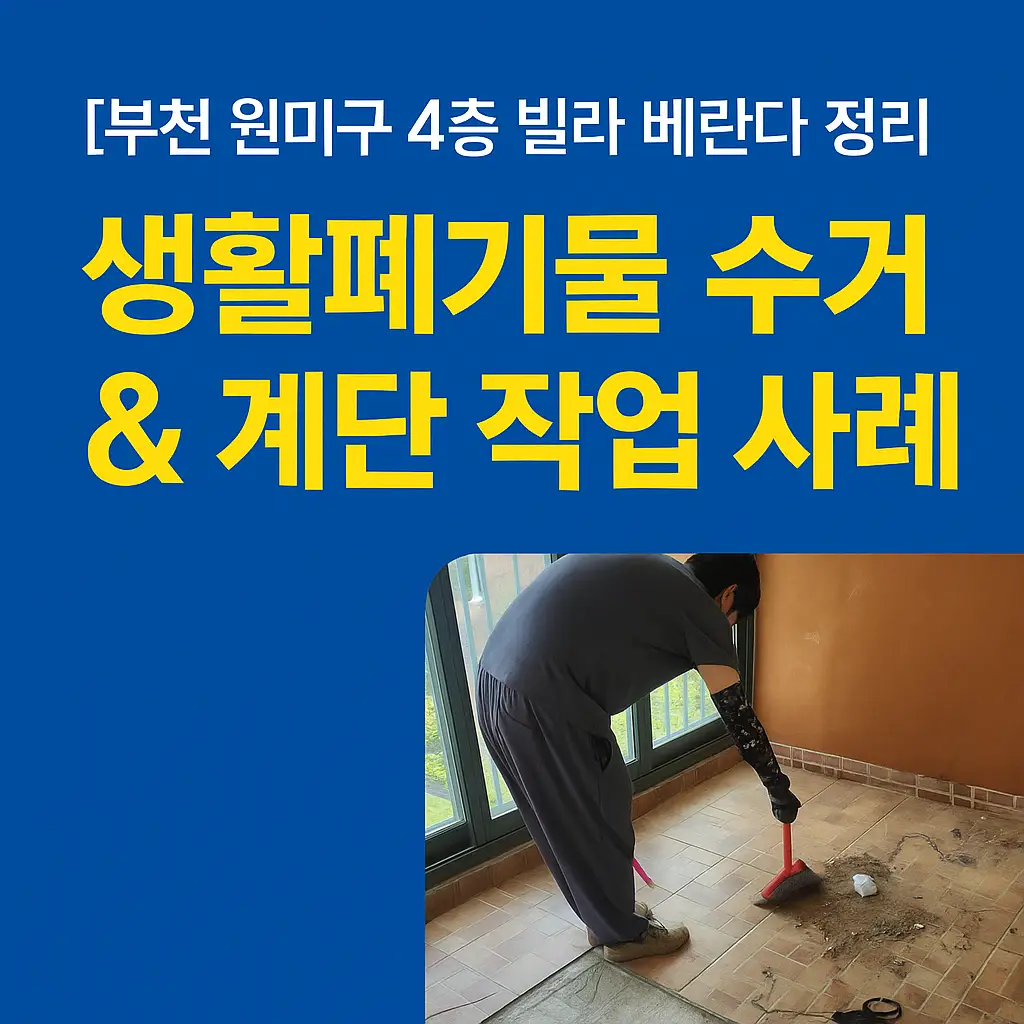 포트폴리오 이미지