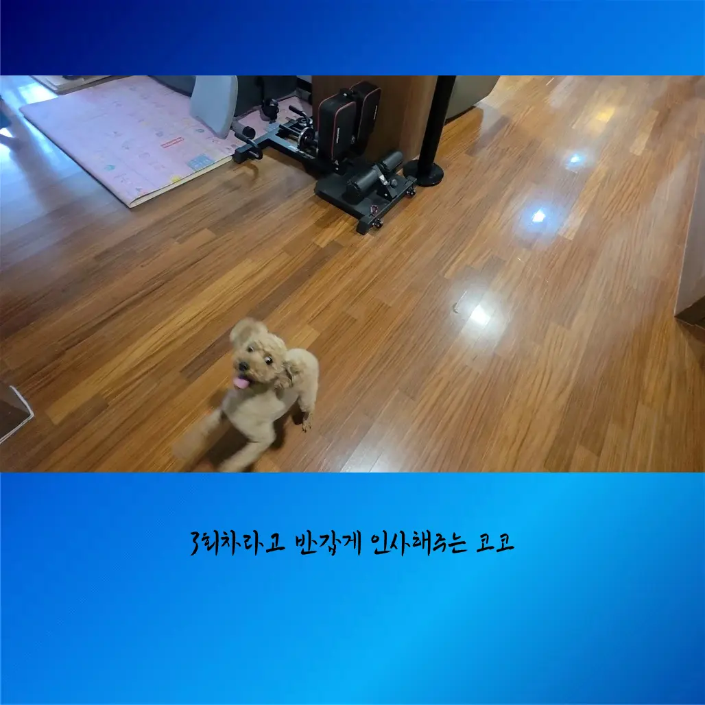 이미지 6