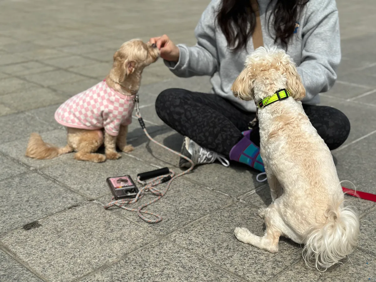 이미지 9