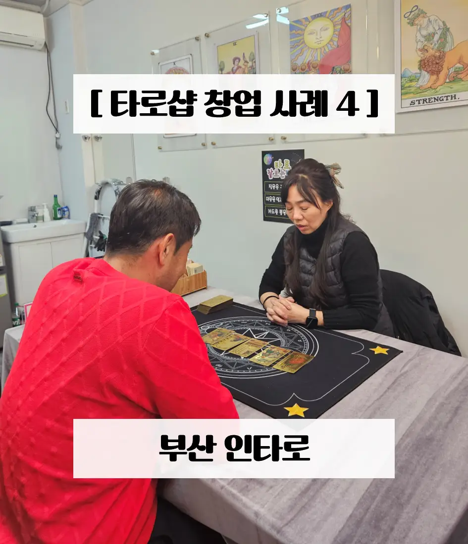 이미지 14
