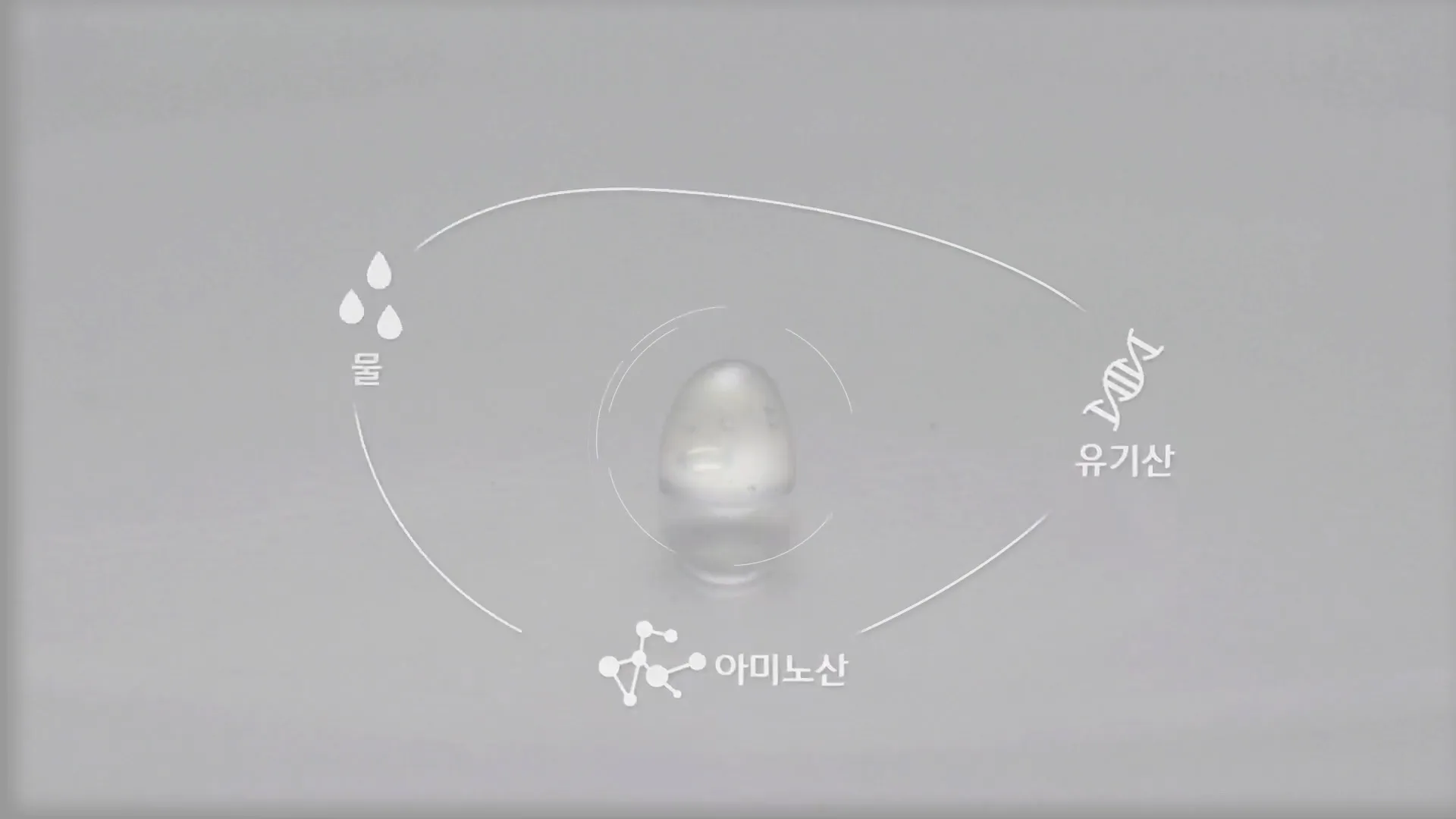 이미지 5