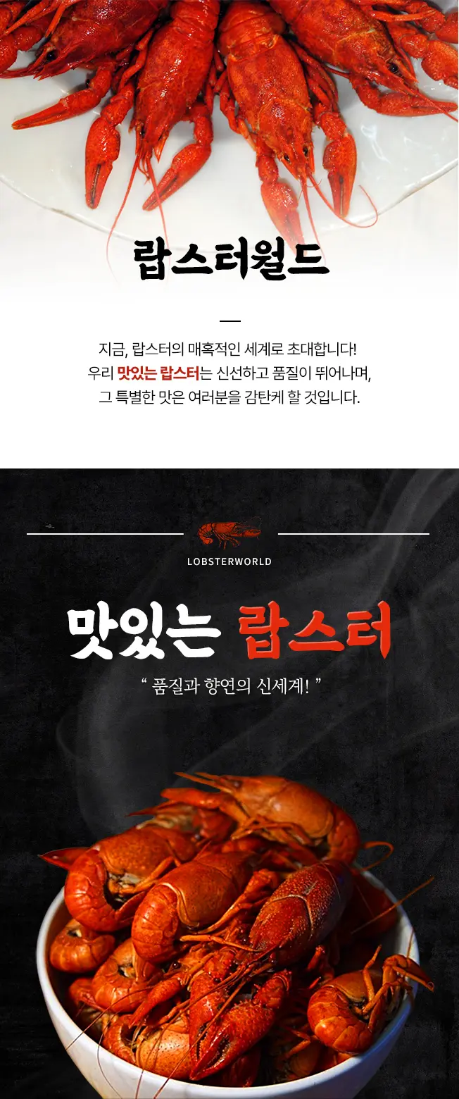 이미지 3