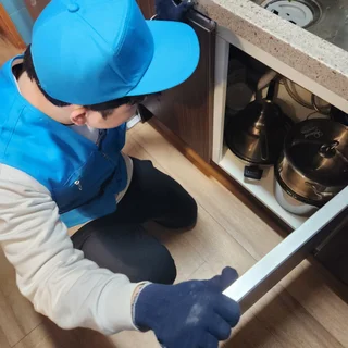 가정집 바퀴벌레 제거