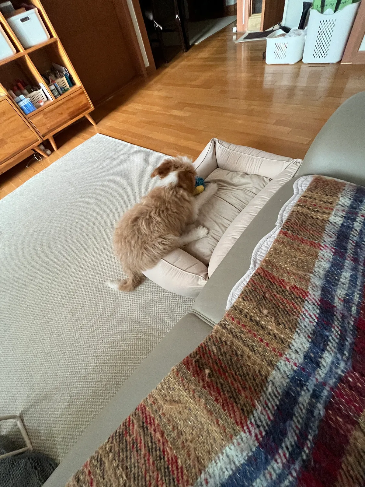 이미지 8