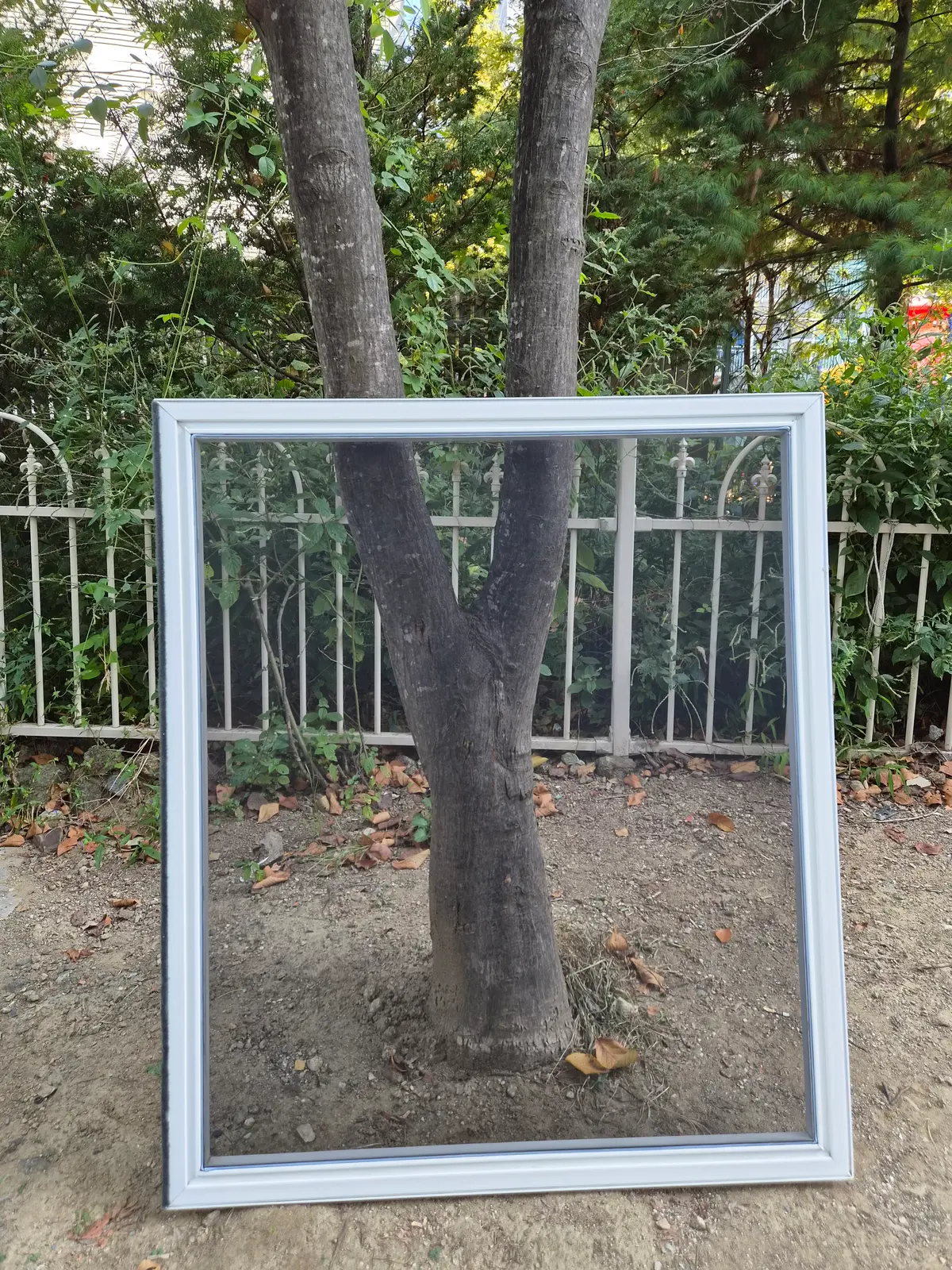 이미지 4
