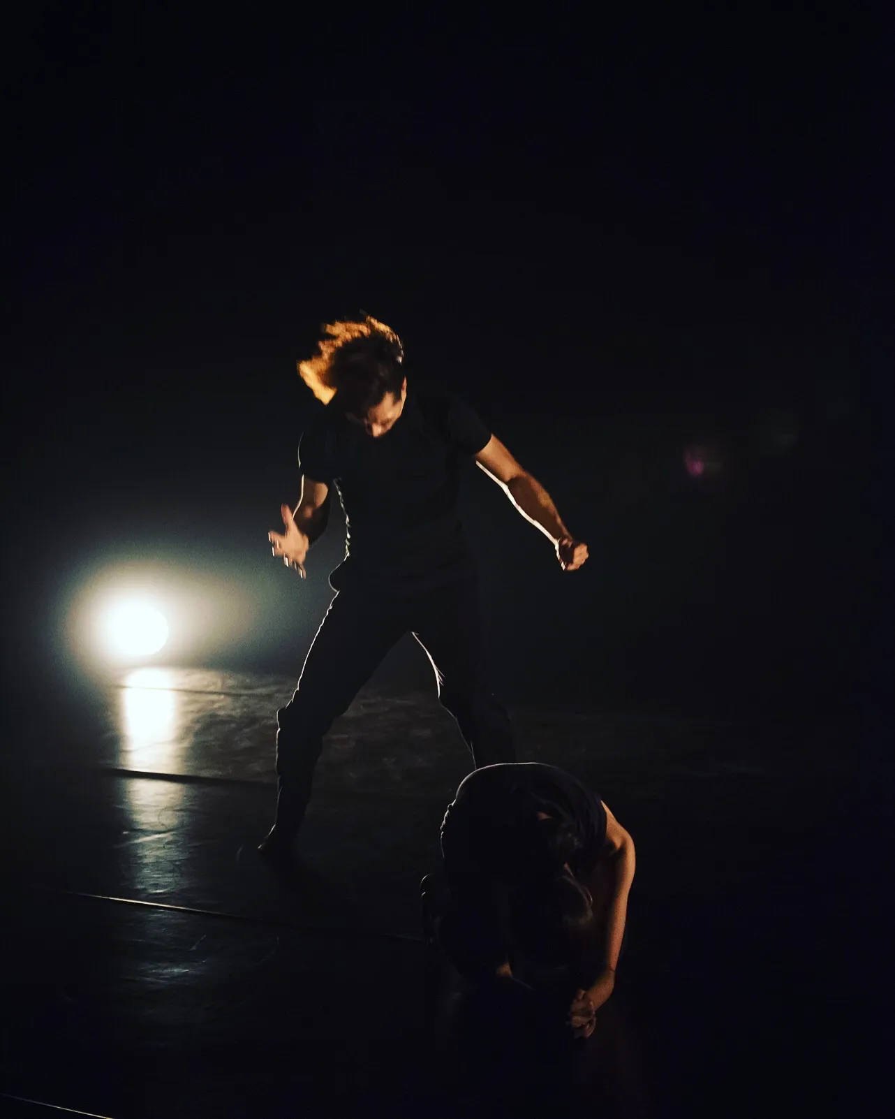 이미지 6