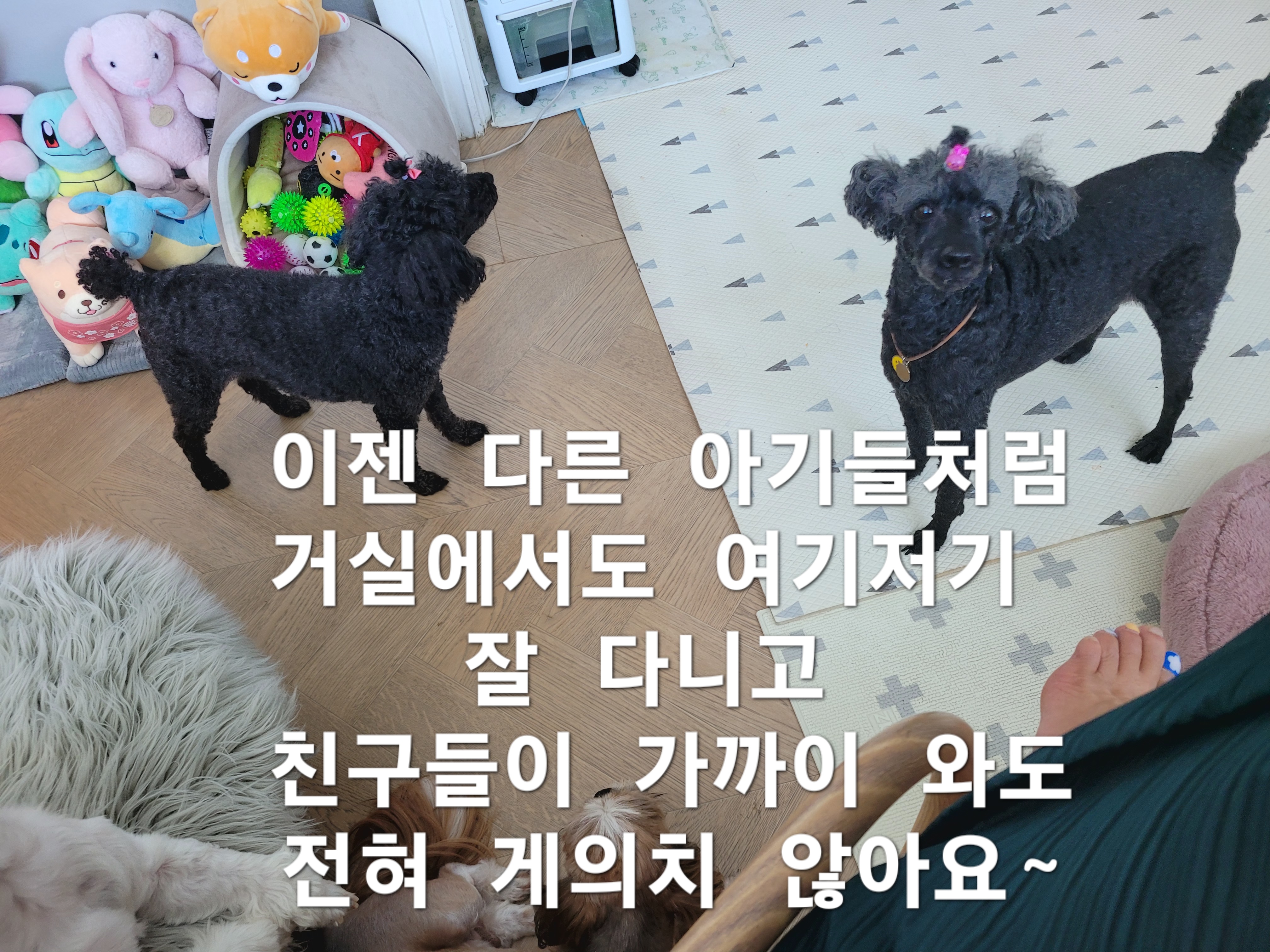 이미지 7