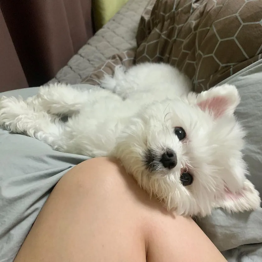 이미지 3