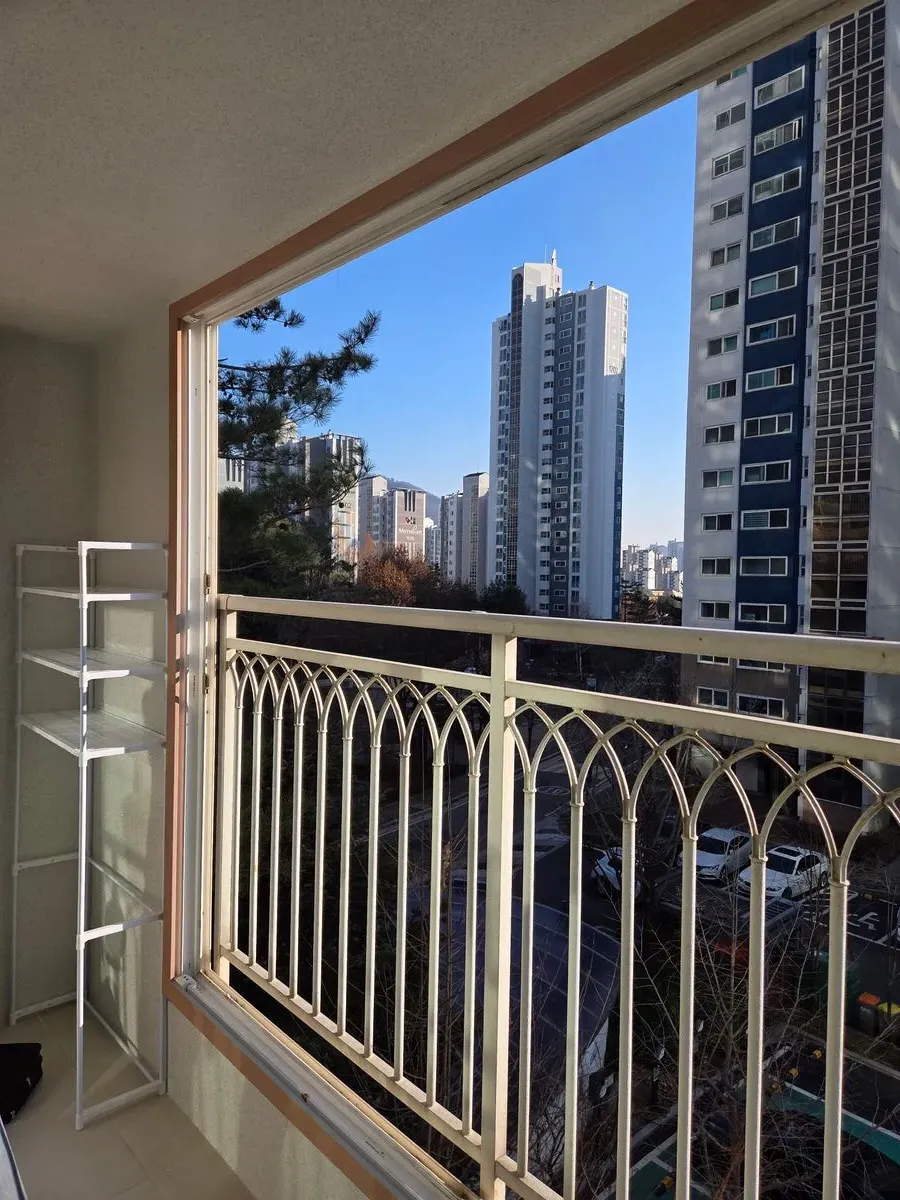 포트폴리오 대표 이미지