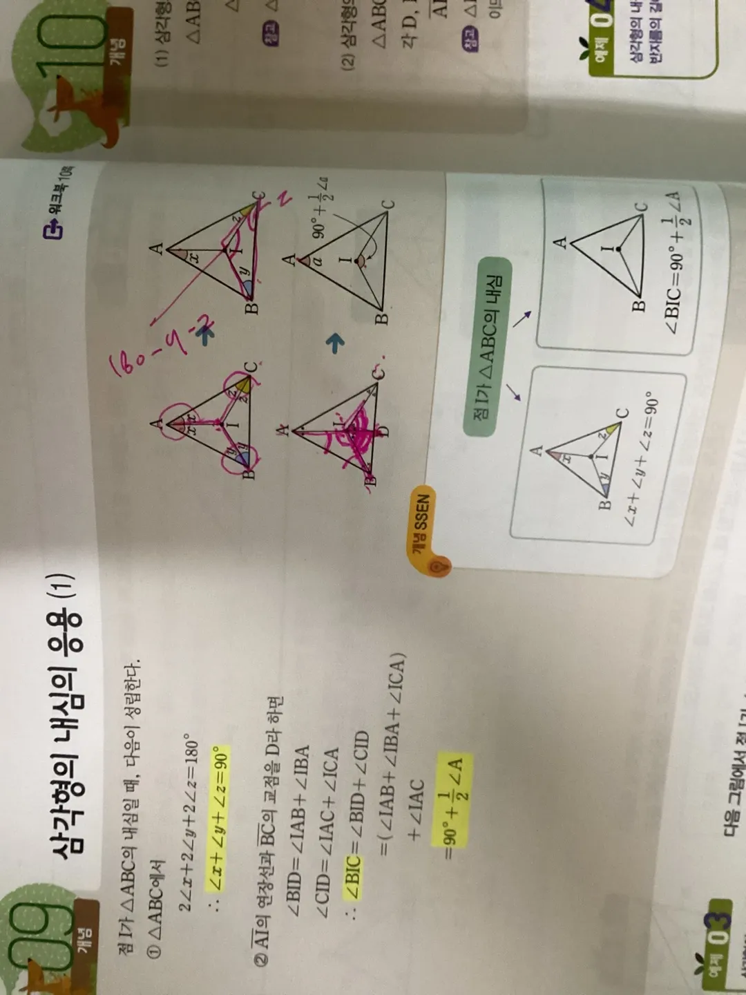 이미지 5