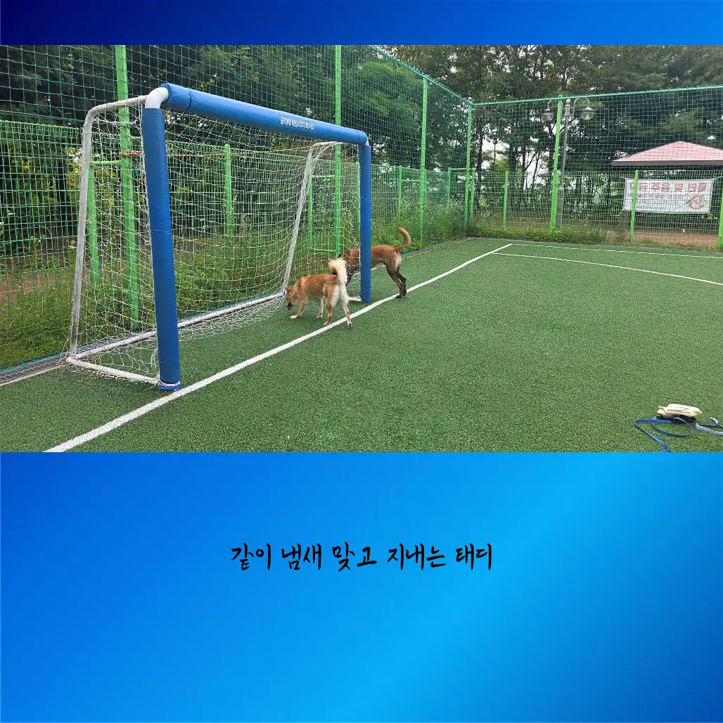 이미지 8