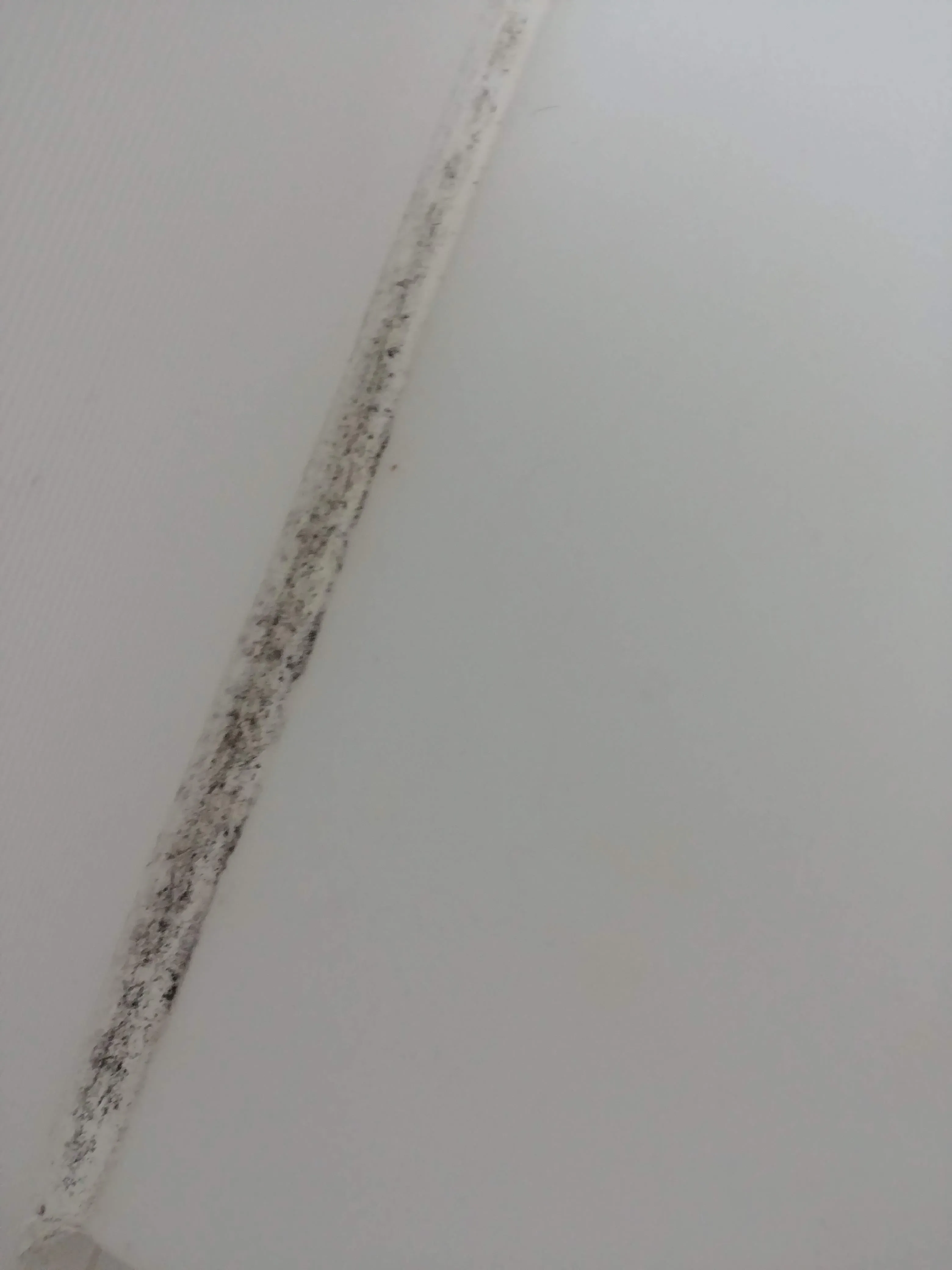 이미지 7