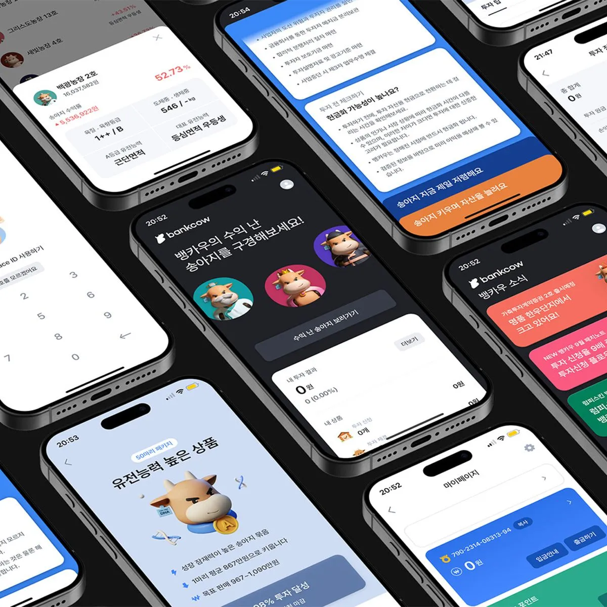 포트폴리오 이미지