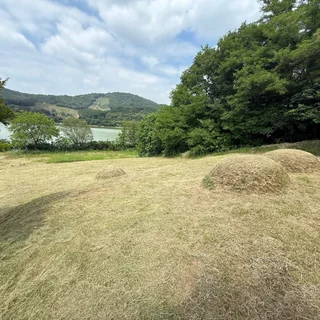 벌초일기 (익산시)
