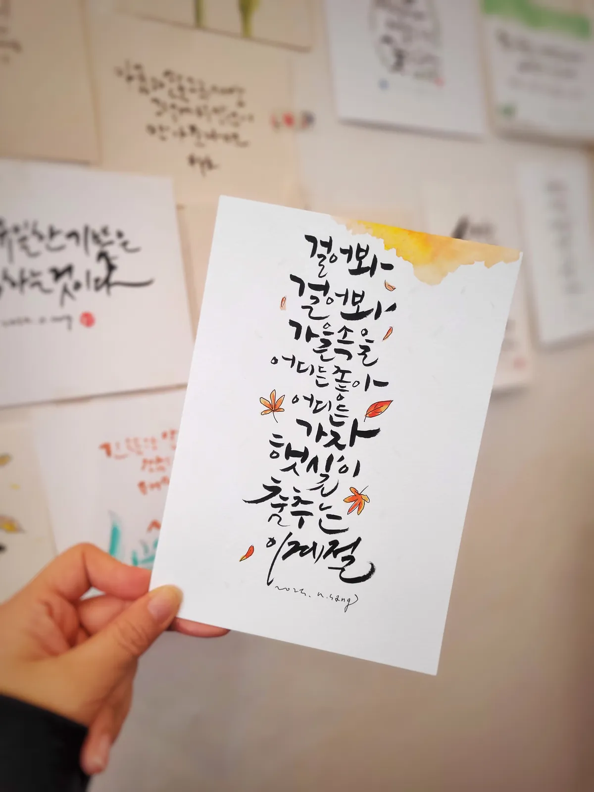 포트폴리오 이미지