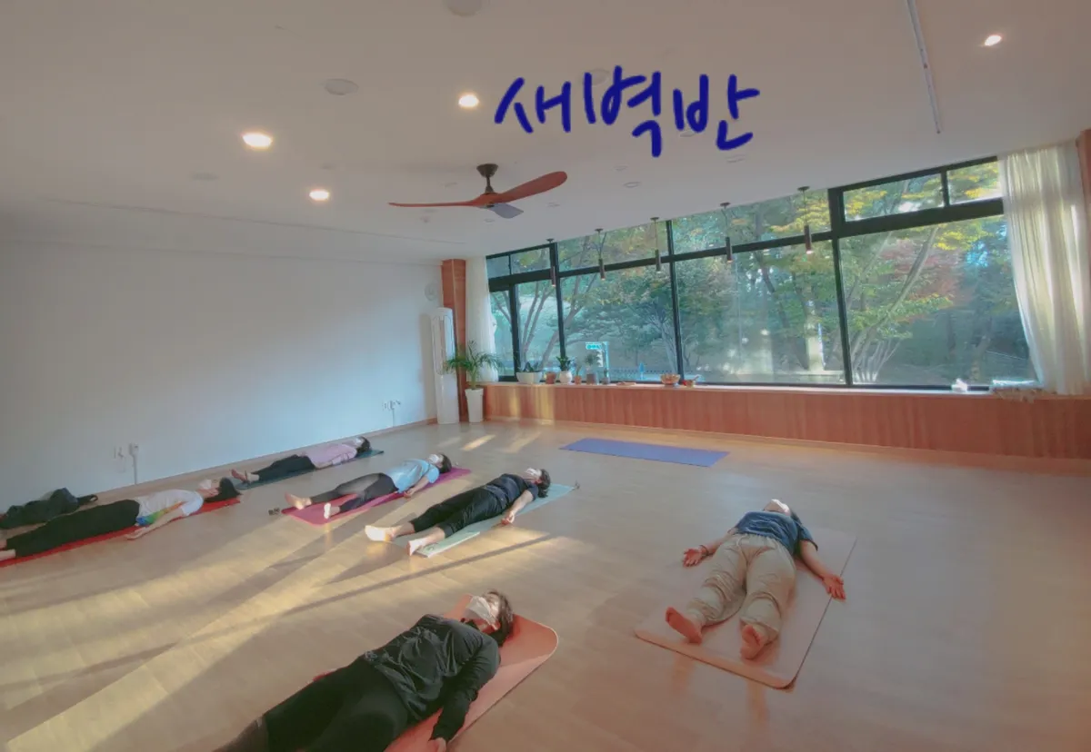이미지 7