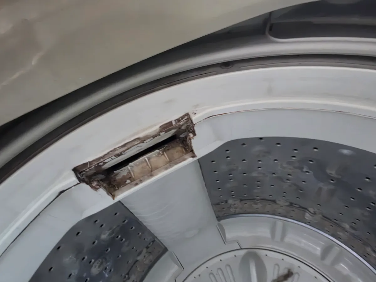 이미지 14