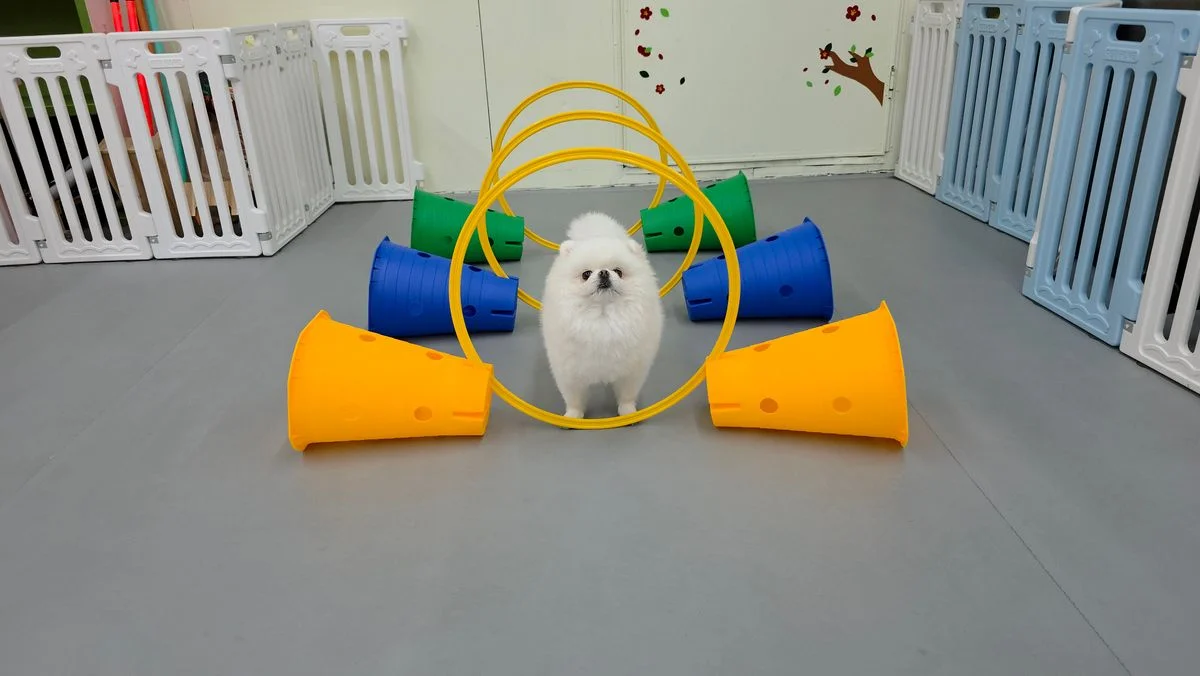 이미지 3