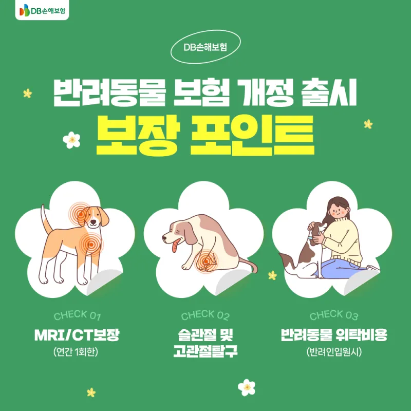 이미지 5